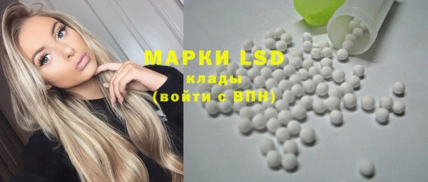 ПСИЛОЦИБИНОВЫЕ ГРИБЫ Абаза