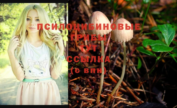 трава Абинск