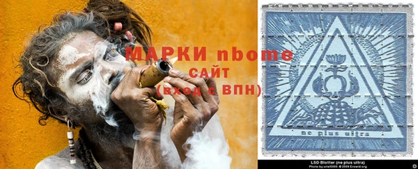 ПСИЛОЦИБИНОВЫЕ ГРИБЫ Абаза