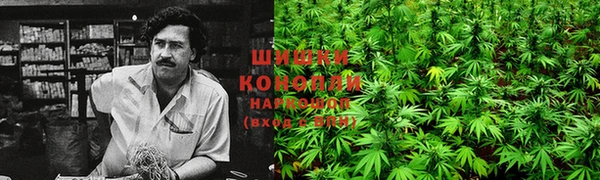 трава Абинск
