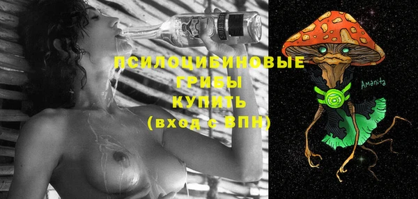 трава Абинск