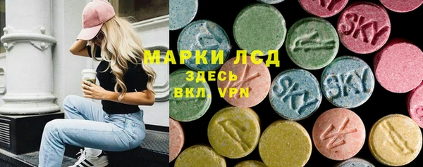 ПСИЛОЦИБИНОВЫЕ ГРИБЫ Абаза