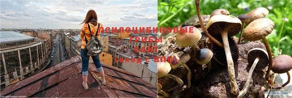 трава Абинск